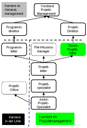 Senior-Projektleiter